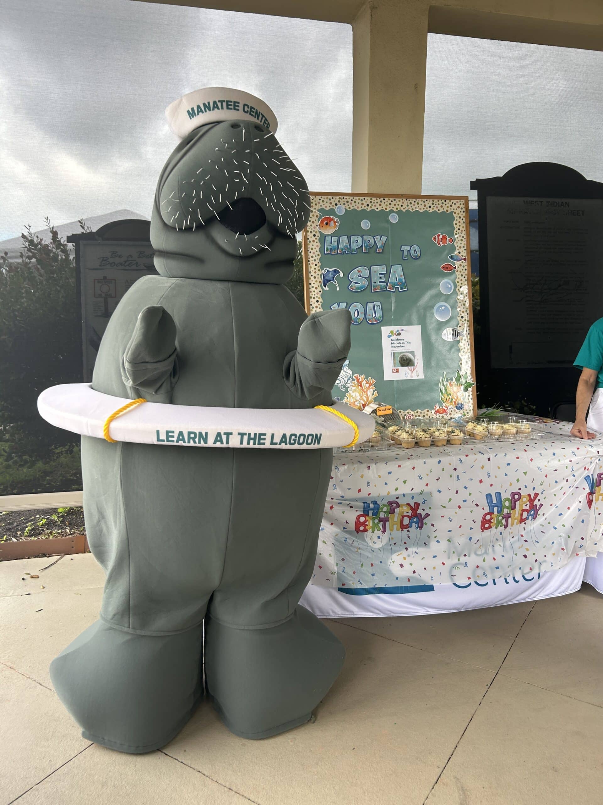 manatee in costume